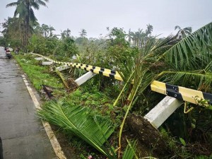 12月25日の台風で倒れてしまったガードレール　レイテ島タナウアン町